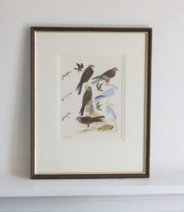 Watercolour by M.W. Woodcock
