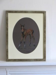 Bay Foal Original pastel by Judy Goodman