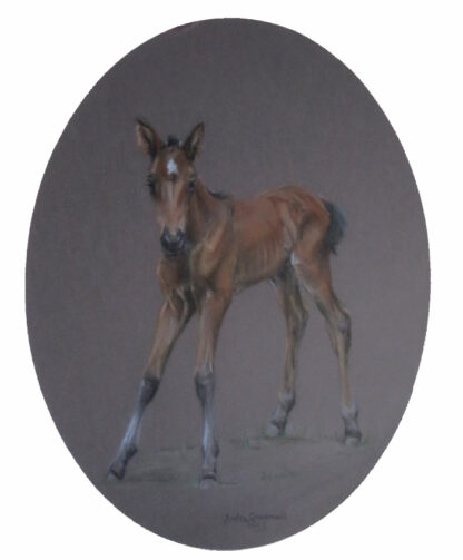 Bay Foal, original pastel contemporary horse painting by Judy Goodman