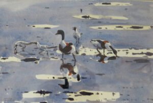 Watercolour Wildlife Bird Painting of Shell Duck & Gull by James McCallum UK bird artist
