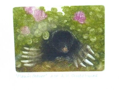 Mole, Limited Edition Copper Plate & Aquatint Etching Artwork of a Mole by Valerie Christmas