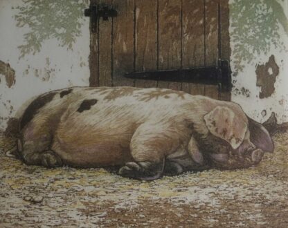 Pig print etching by Mark Spain