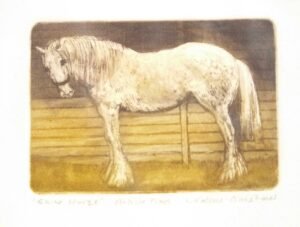 Shire horse art print by Valerie Christmas