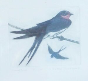Swallow etching by Valerie Christmas
