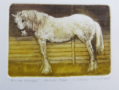Shire Horse Etching by Valerie Christmas