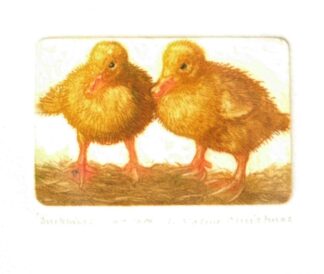 Duck art print, Duckling Etching by Valerie Christmas