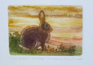 Rabbit art Etching by Valerie Christmas
