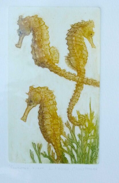 Seahorses etching by L Valerie Christmas