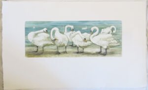 Valerie Christmas fine art print of Swans