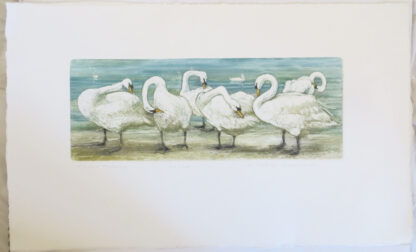 Valerie Christmas fine art print of Swans