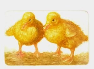 Ducklings by L Valerie Christmas