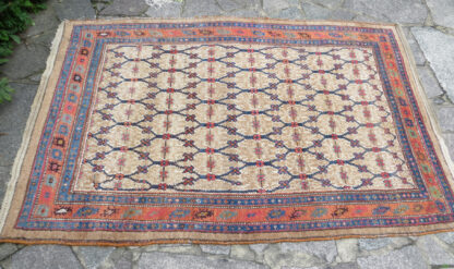 Rug 11